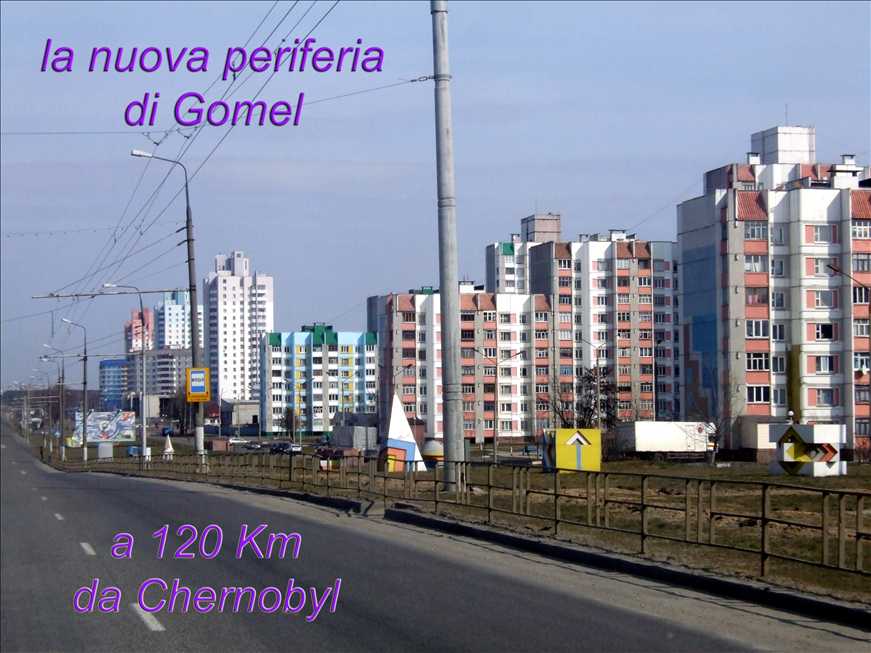 dscf6739 falso 7359.jpg